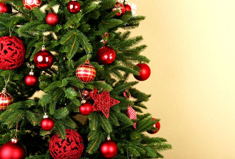 График Дентал Студио на выходные и новогодние праздники